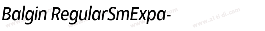 Balgin RegularSmExpa字体转换